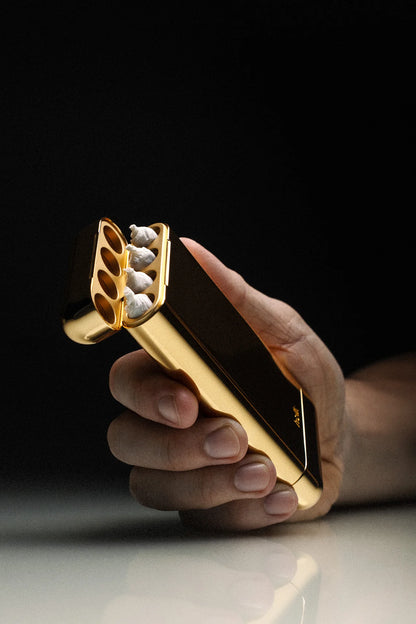 Holk Carry Case Gold